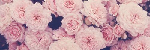 ellebeasplease's profile banner image