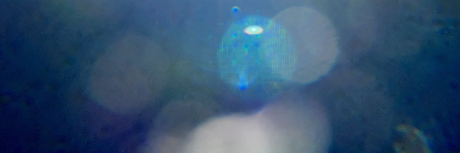seb_reilly's profile banner image