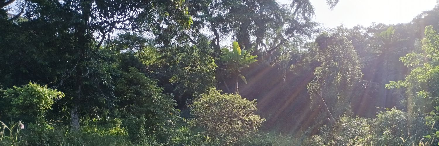 Mikeleetc's profile banner image