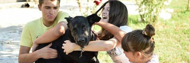 soviiicaa's profile banner image