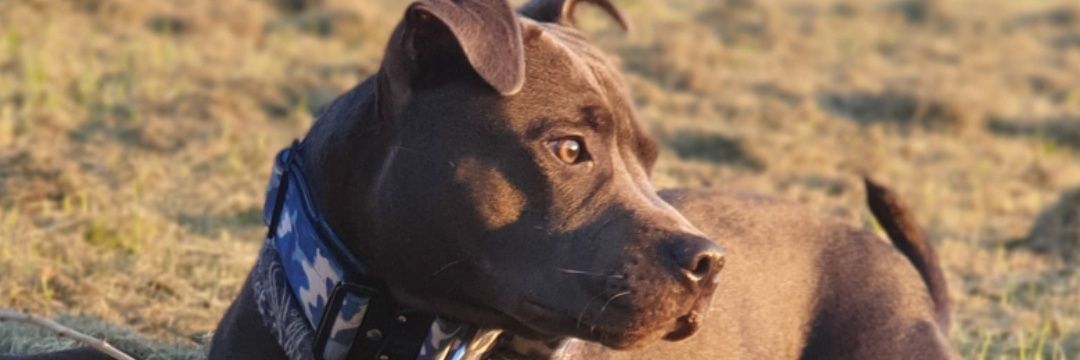 patrick00769's profile banner image
