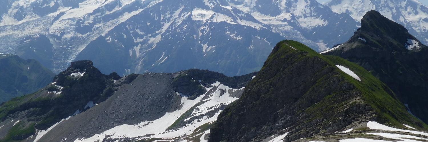 Erica Neve 🚢 banner