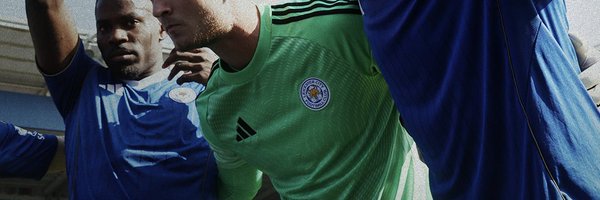 TheCunningFox Profile Banner