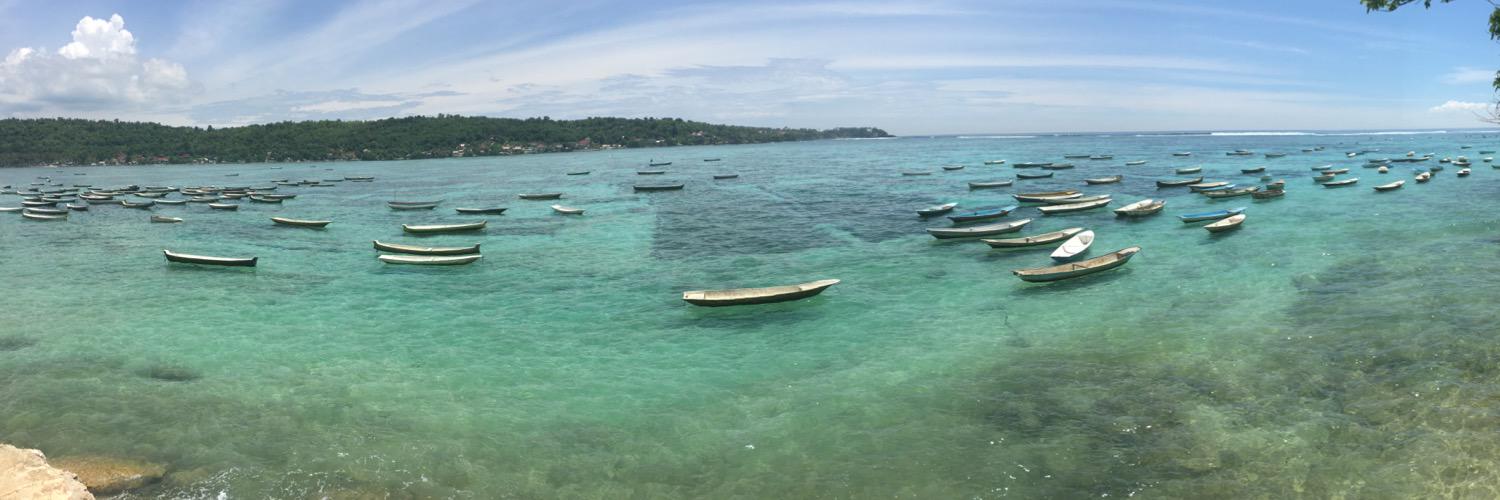 Millie Corbish banner