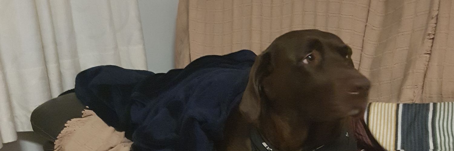 josegp891's profile banner image