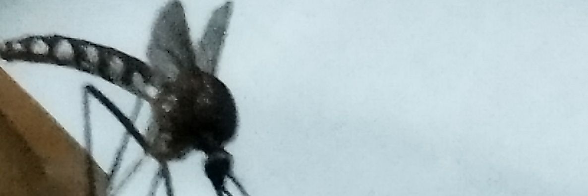 dee_arya_'s profile banner image