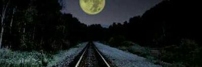 jacqui503's profile banner image