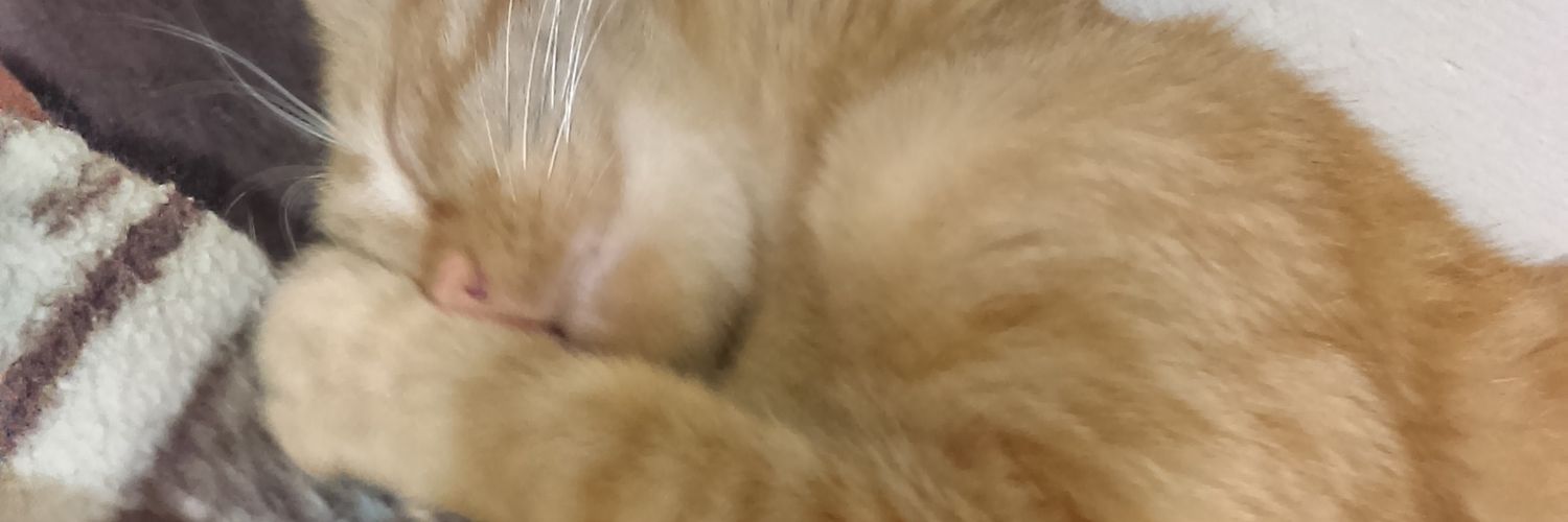 Tengen_Beth's profile banner image