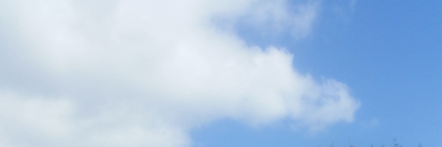 lowester40's profile banner image