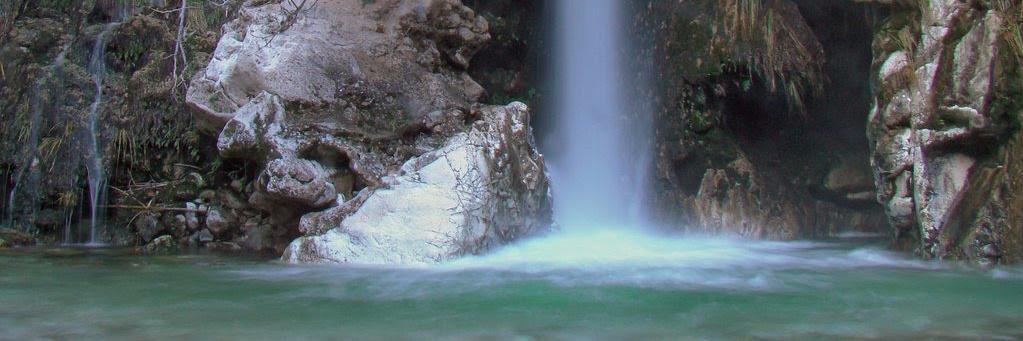 CarlosCoinX's profile banner image