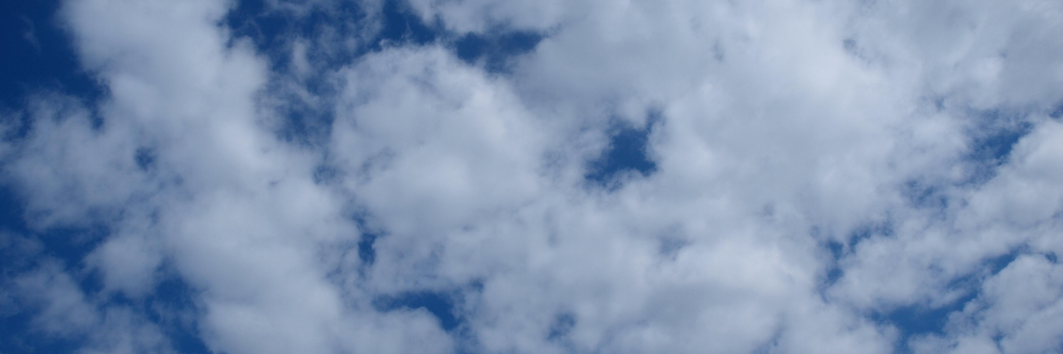 byakko's profile banner image