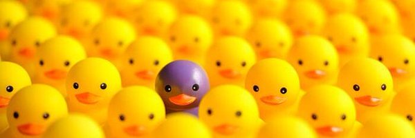 TheRealYield Profile Banner