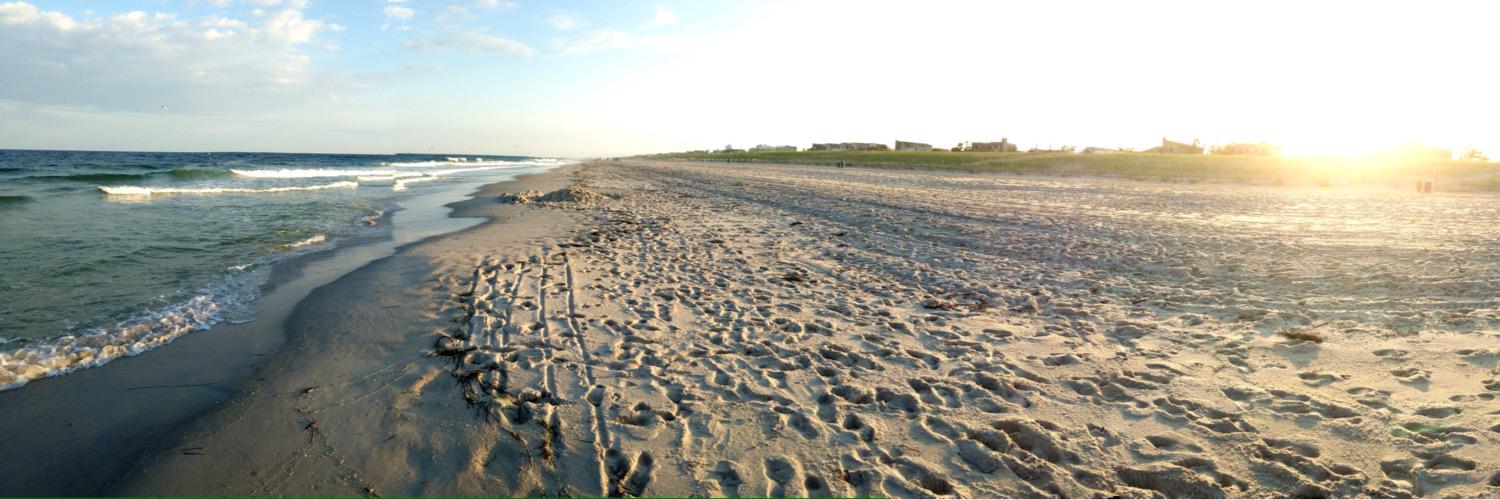 Madison Hranicka banner