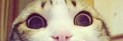 Palomov92's profile banner image