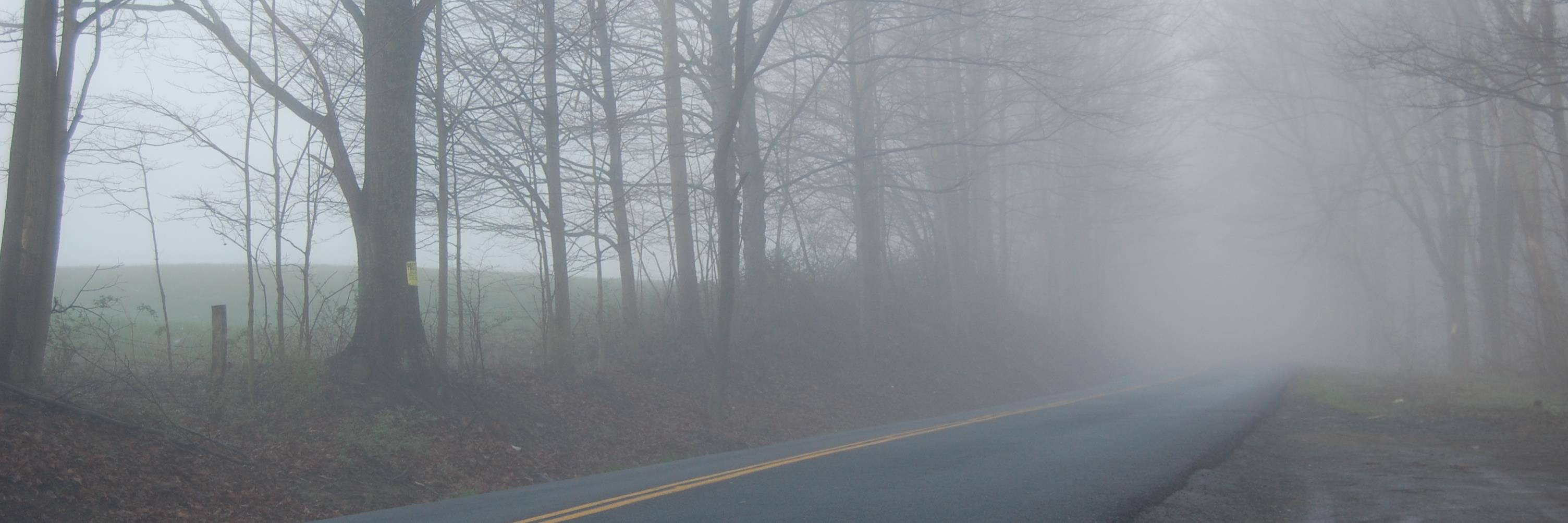 wolf_from_wv's profile banner image
