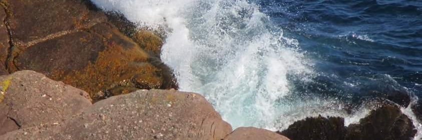 Mary Spurrell banner