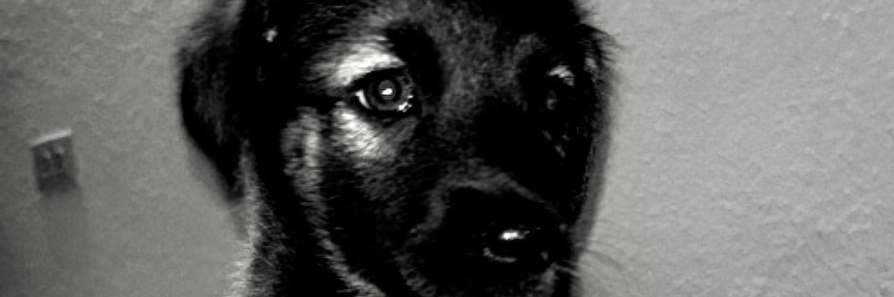 ReeinaaaS's profile banner image