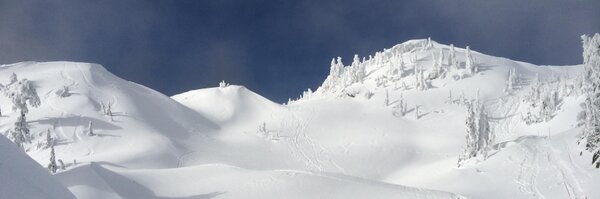 jarodfong Profile Banner