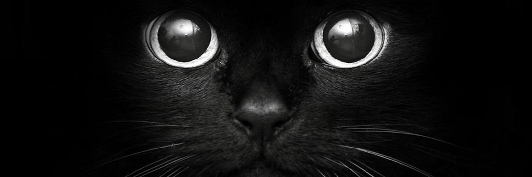 AndrianOK_'s profile banner image