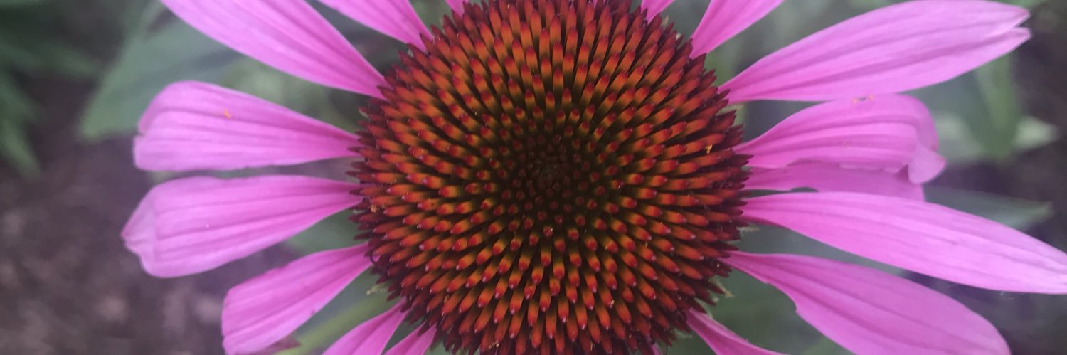 Sydanne10's profile banner image