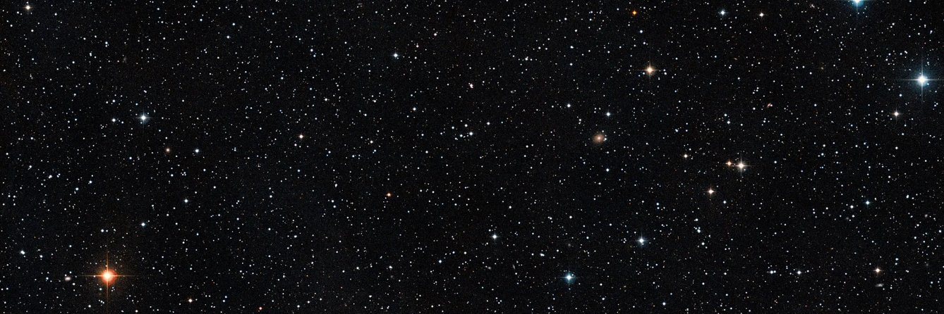 Chewie banner