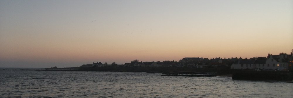 capercaille's profile banner image