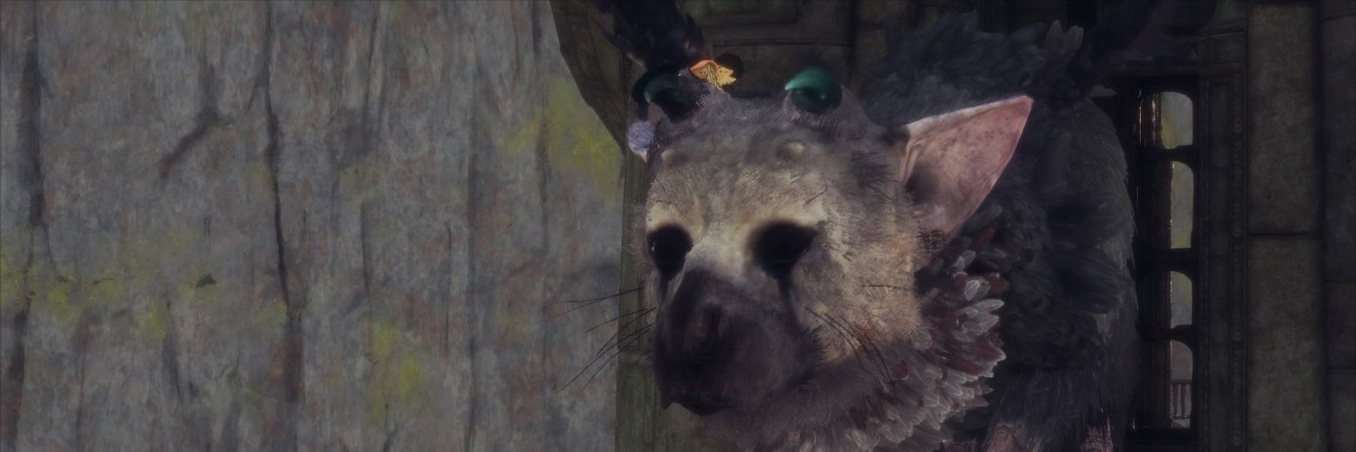 lucas2848's profile banner image