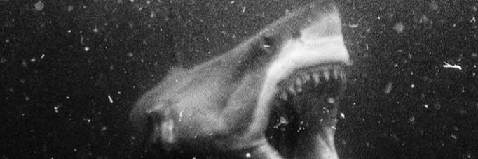 Tpot69's profile banner image
