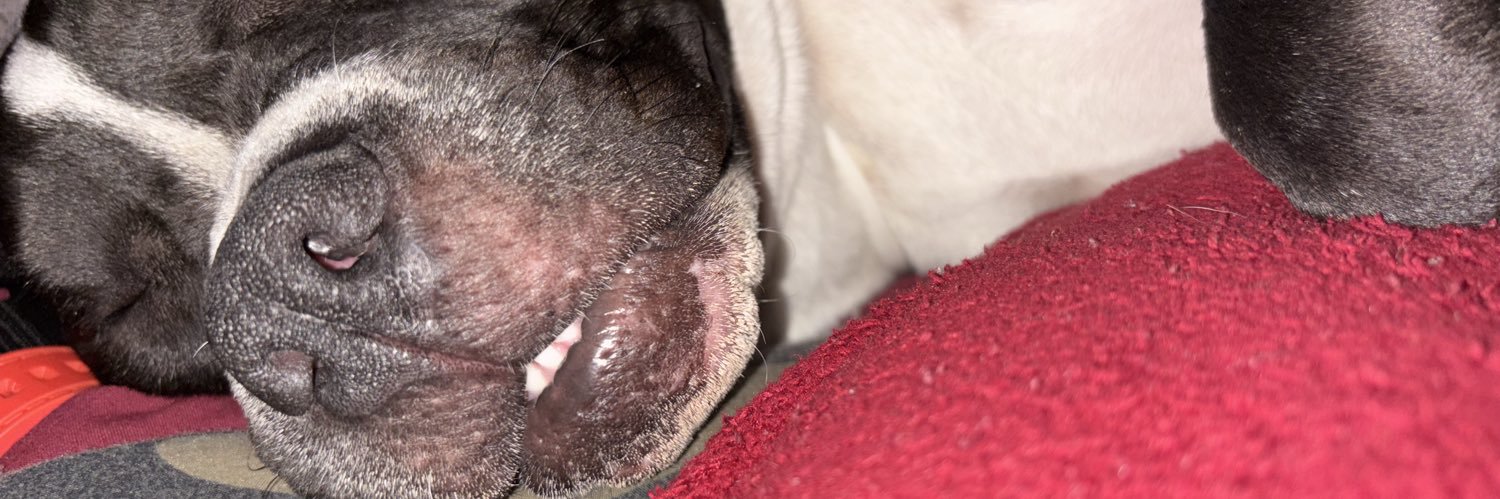 REAL_BIG_ZADDIE banner