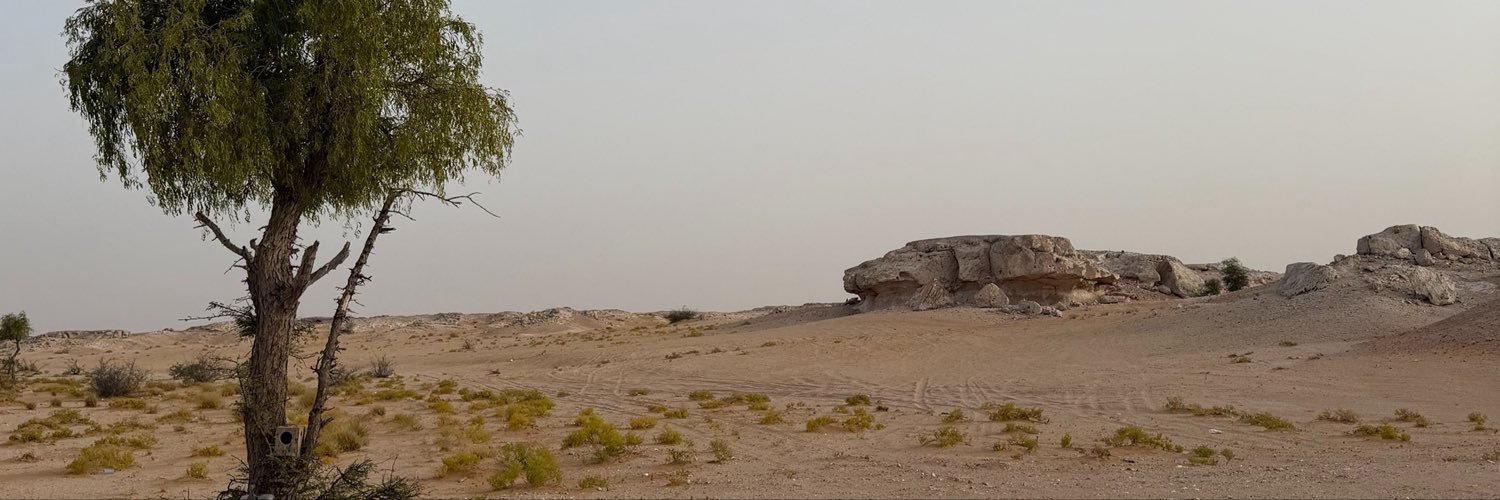 s8lm1's profile banner image