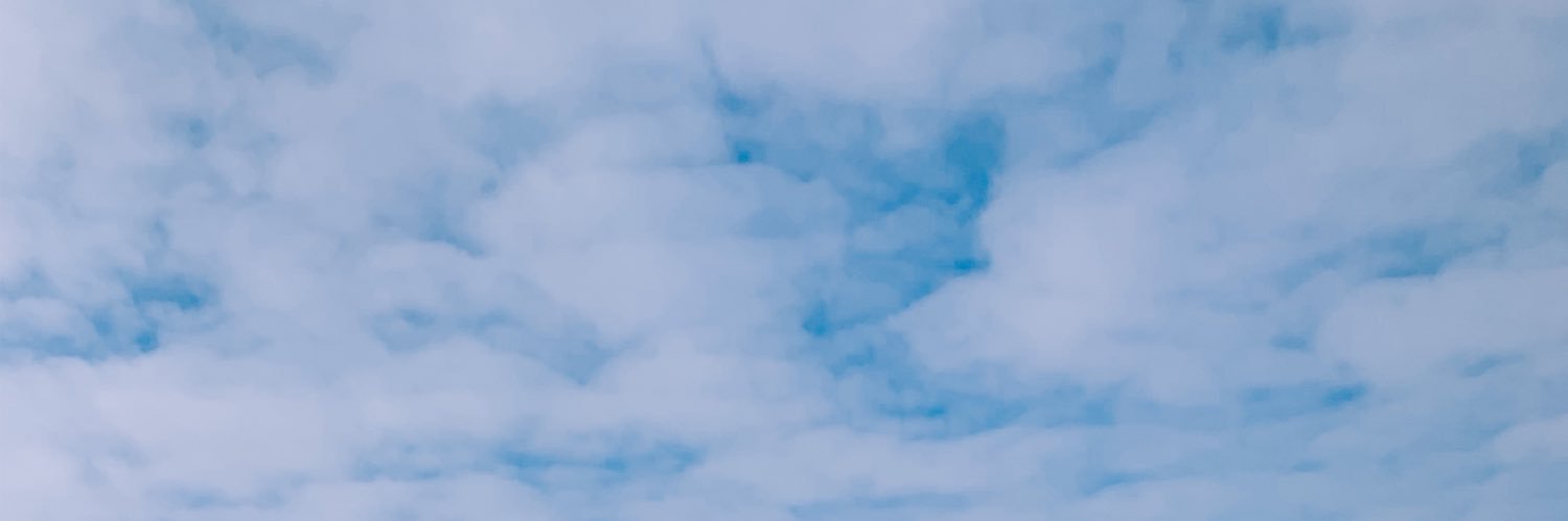 julia_skinner06's profile banner image