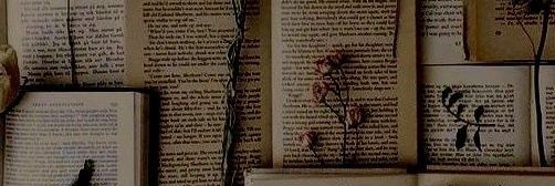 weasleyraven_'s profile banner image