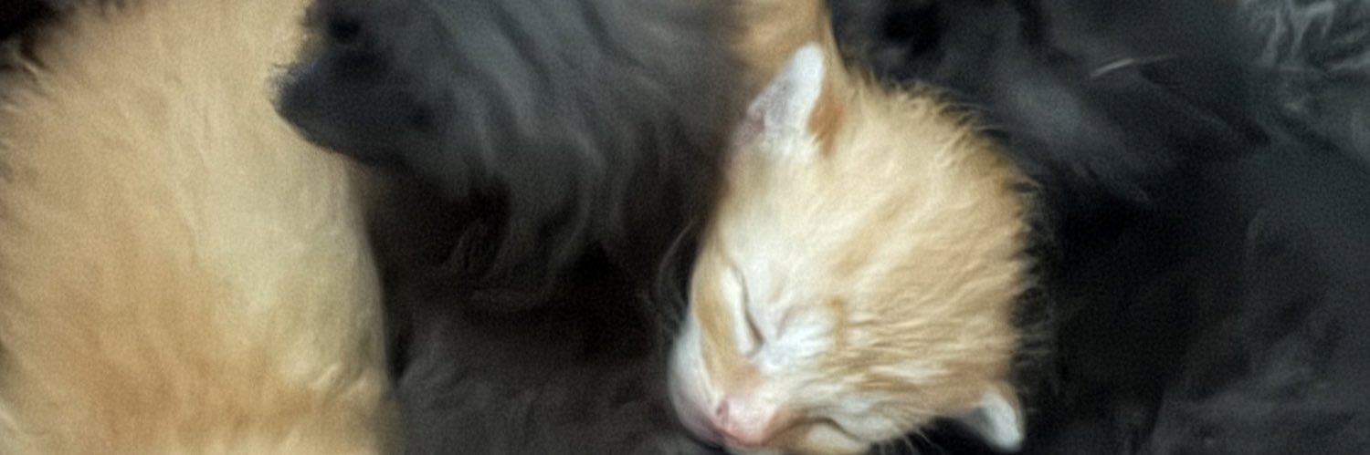 HankXHession's profile banner image