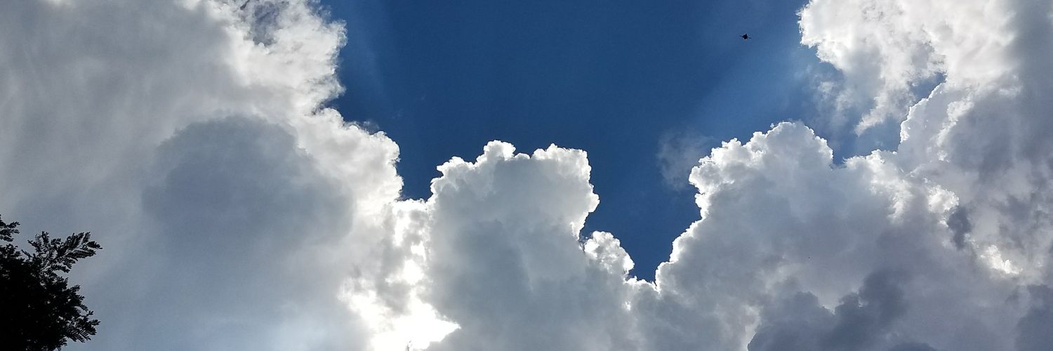 halfsy14's profile banner image