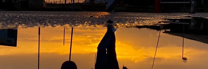 rnascimento85's profile banner image