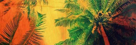 summerwavemx's profile banner image