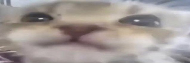 jayddogg_'s profile banner image