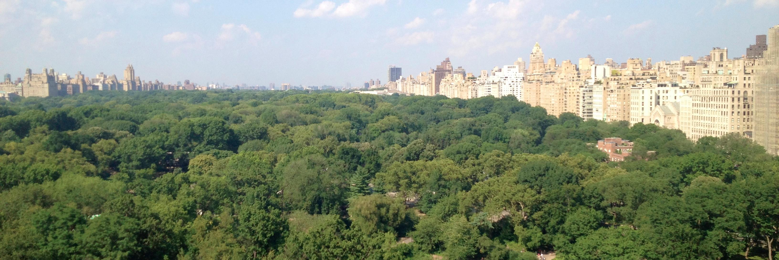 NYC Sights Sounds banner