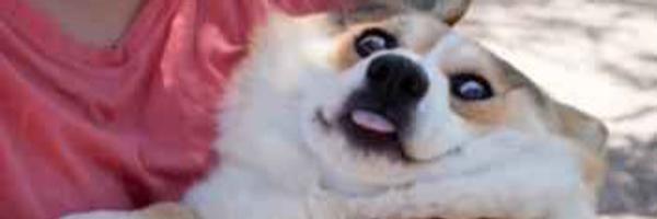 stephenchienn Profile Banner