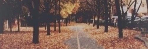 leighton banner