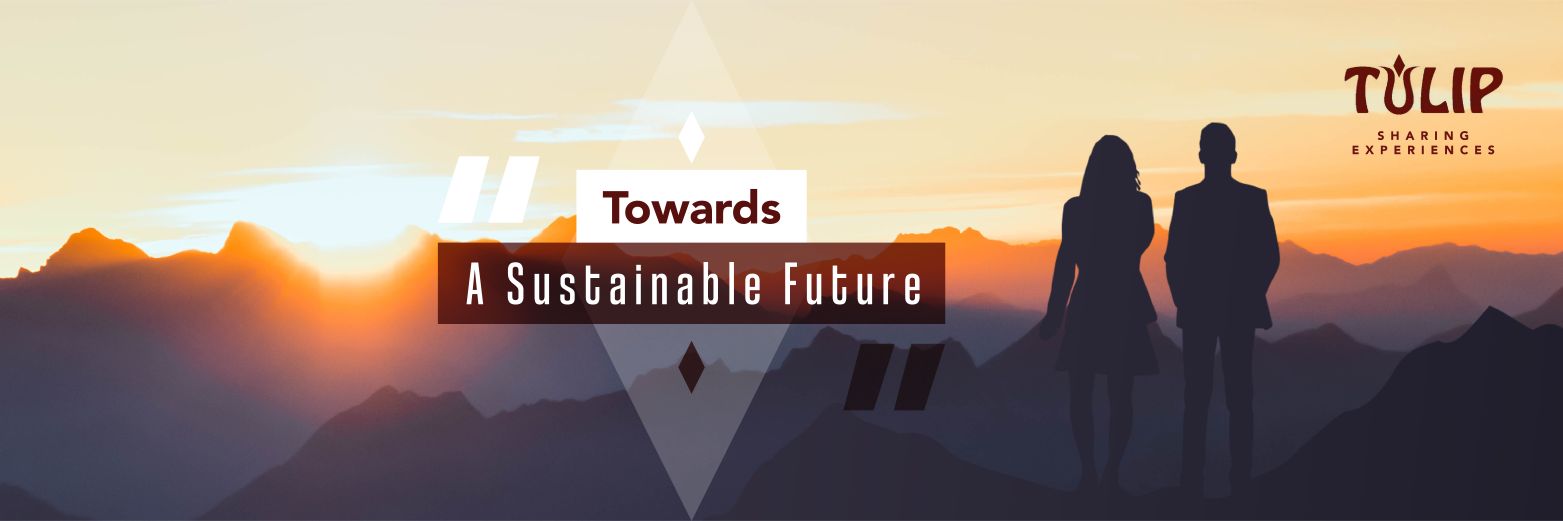 Tulip_Consultan's profile banner image
