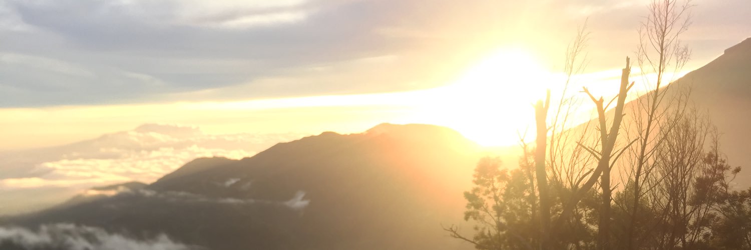 dozenpizzas's profile banner image