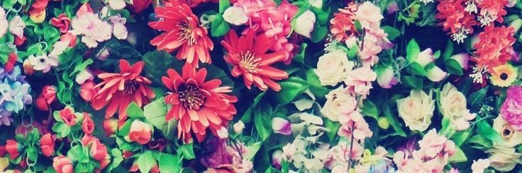 ashjoho's profile banner image