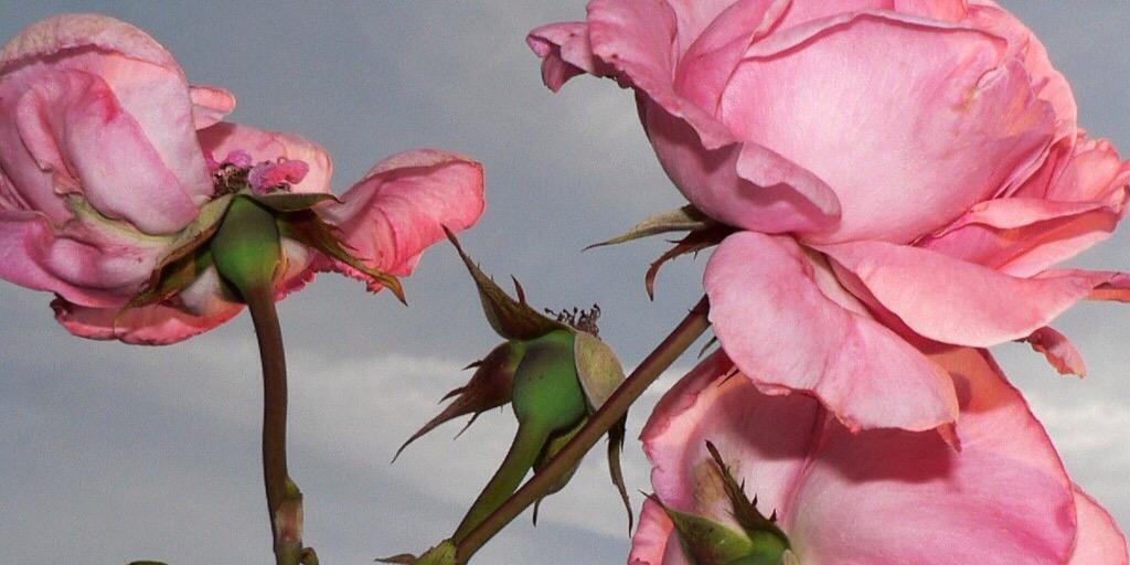 a_e_141's profile banner image