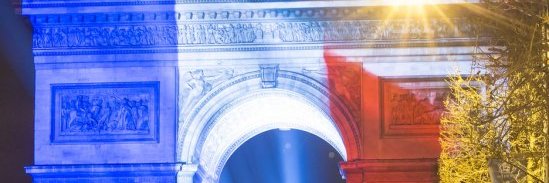 Mitch-Sulyvan Vance 🇫🇷🐞 banner