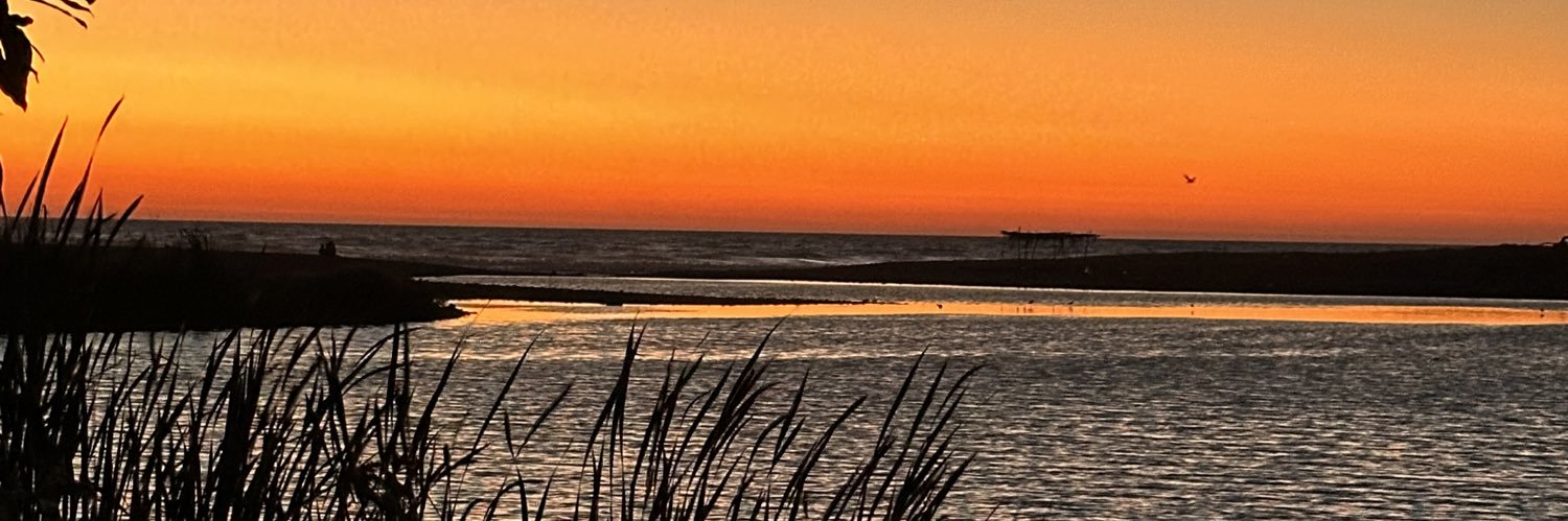 Richard Malone banner