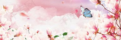 eliishari's profile banner image