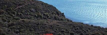 نجوى هاشم banner