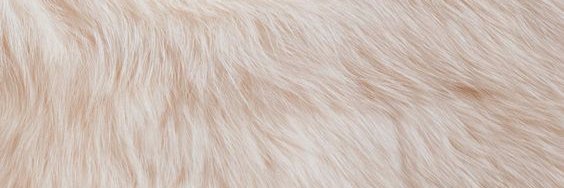MariahNashoha's profile banner image