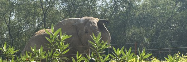 tapasyaraghav Profile Banner